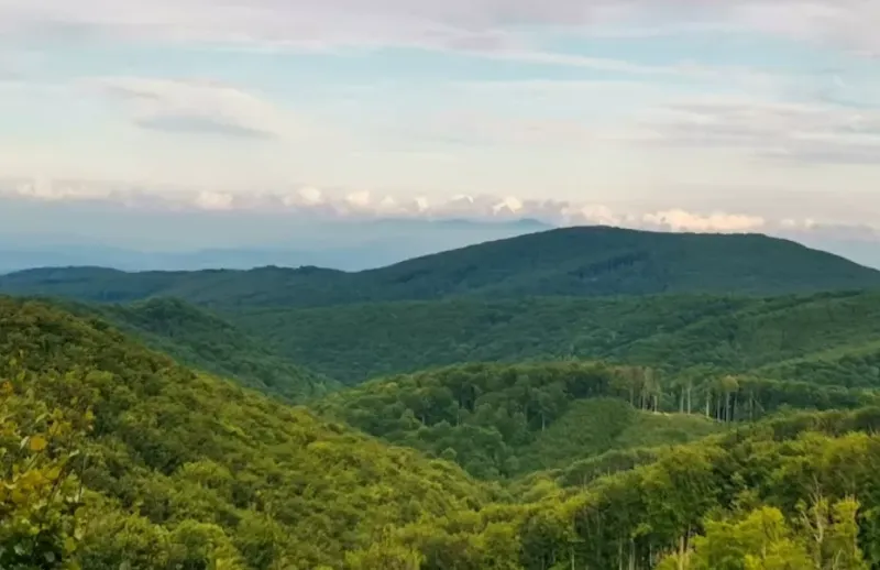 Slanské Vrchy - 7000 m2 LESNÉHO POZEMKU