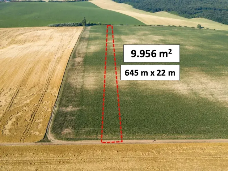 Pastuchov (Hlohovec) - 9.956 m2 ORNÁ PÔDA v komasácii