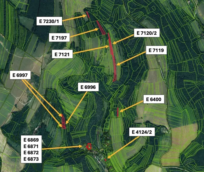 Brezová pod Bradlom - 6.350 m2 ORNÁ PÔDA a LES