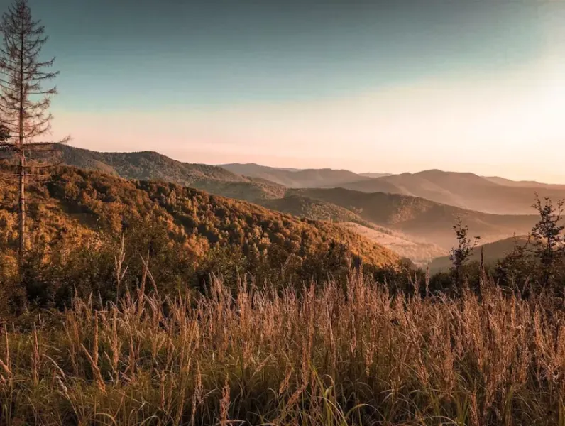 Zbora (Dohňany) - 8.714 m2 LESY a ORNÁ PÔDA - Na predaj