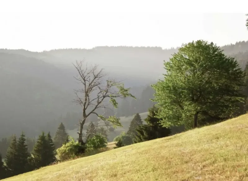 Muľa – 10.742 m2 POZEMKY v pozemkových úpravách