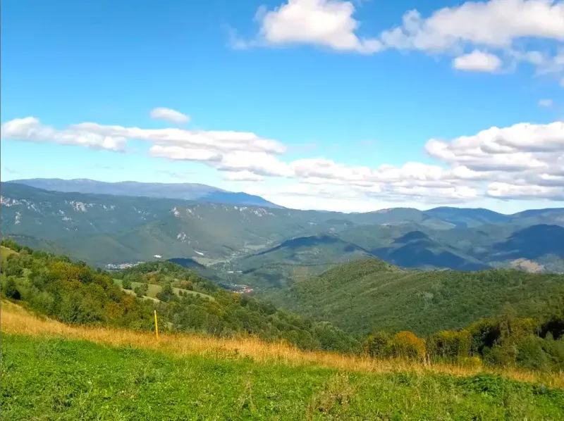 Filier – 9.746 m2 LESNÉ POZEMKY v pozemkových úpravách