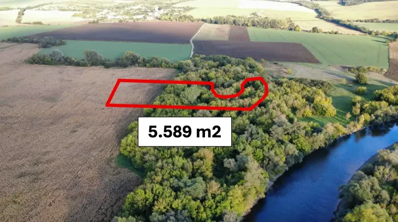 Bíňa - 5.589 m2 ORNÁ PÔDA a LES, podiel 1/1