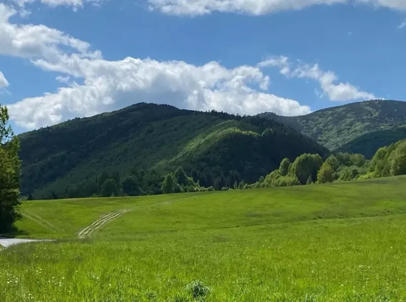 Veľký Lipník – 22.036 m2 ORNÁ PÔDA a LESY – Na Predaj