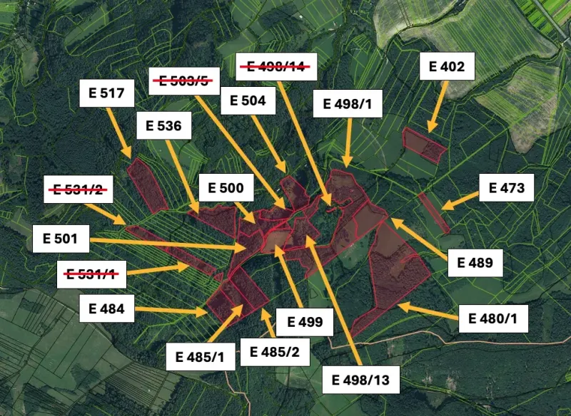 Mestečko – 13.000 m2 LES a PÔDA neďaleko Púchova