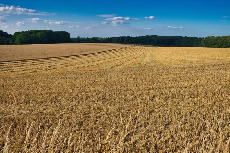 Horný Tisovník – 3.056 m2 - POĽNOHOSPODÁRSKE pozemky