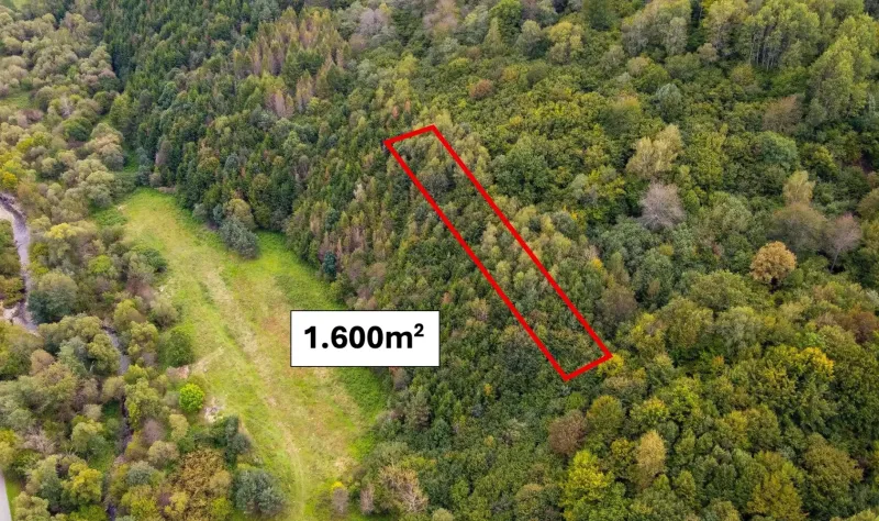 Dúbrava - 1600 m2 LES v podiele 1/1