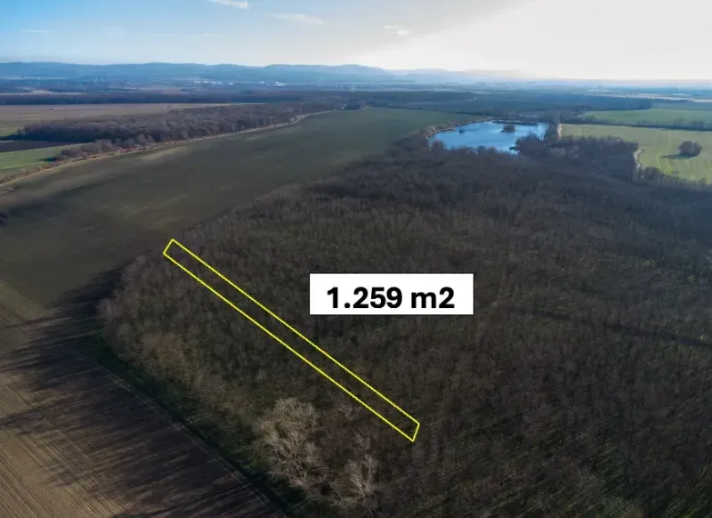 Vysoká pri Morave – 1.259 m2 LES v pozemkových úpravách
