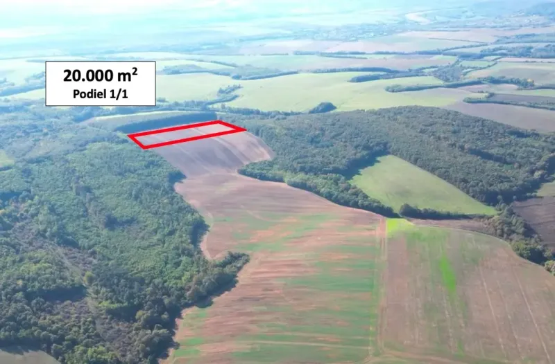 Trebušovce – 20.000 m2 ORNÁ PÔDA podiel 1/1