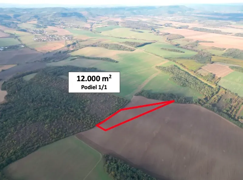 Trebušovce – 12.000 m2 ORNÁ PÔDA podiel 1/1