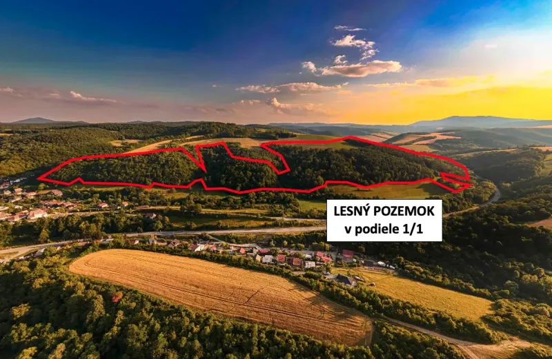 Rokycany – 250.000 m2 LESNÝ REKREAČNÝ POZEMOK v 1/1 pri PO