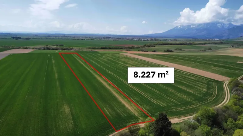 Podhorany – 8.227 m2 ORNÁ PÔDA v podiele 1/1 – Predaj