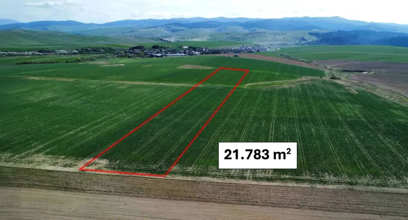 Podhorany – 21.783 m2 ORNÁ PÔDA v podiele 1/1 – Predaj