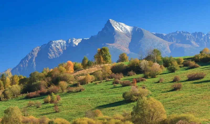 65.000 m2 lesov priamo v TANAPe, pod Roháčmi