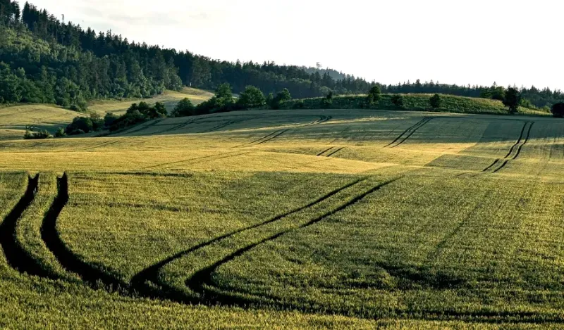 Kecerovské Pekľany – 15.000 m2 ORNÁ PÔDA a LESY