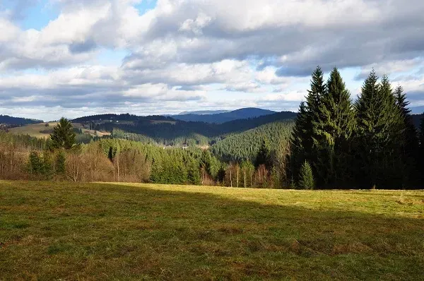 Turzovka - Spoluvlastnícky podiel na lesoch a lúkach