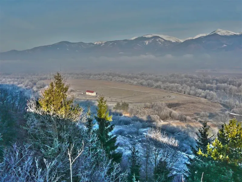 Nolčovo (Veľká Fatra) - Les v 1/1
