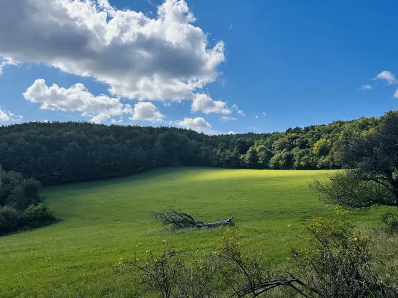Lúčky (ZH) – 3.945 m2 POĽNOHOSPODÁRKA PÔDA a LESY