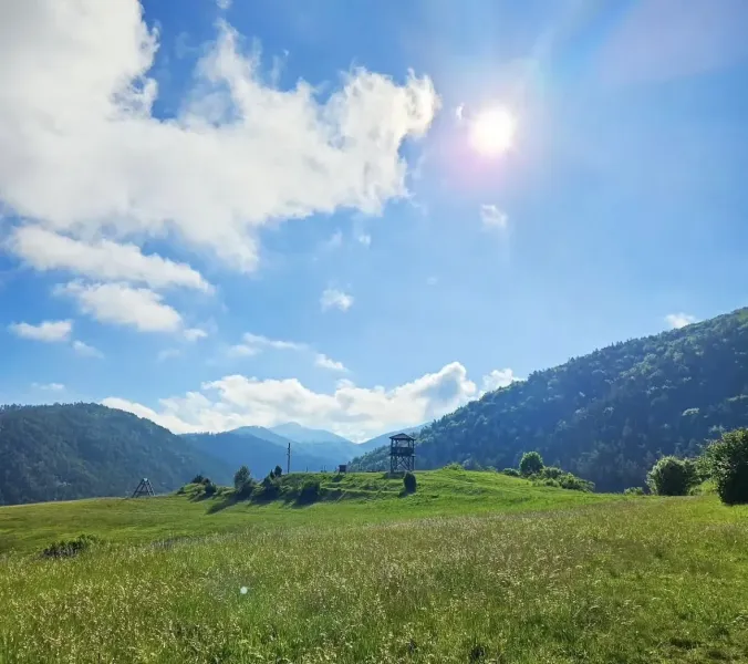 Necpaly – 5.597 m2 LESOV (Urbáru) – PREDAJ