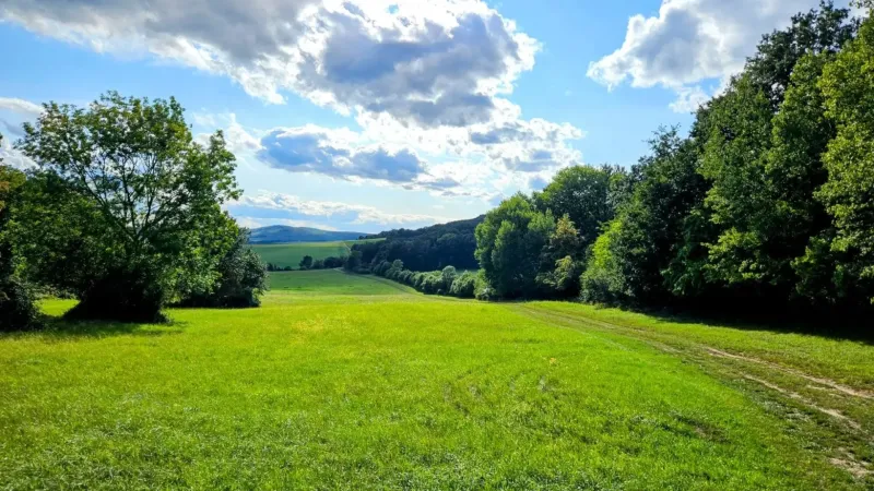 Veľké Raškovce – 3.799 m2 POĽNOHOSPODÁRKA PÔDA a LESY