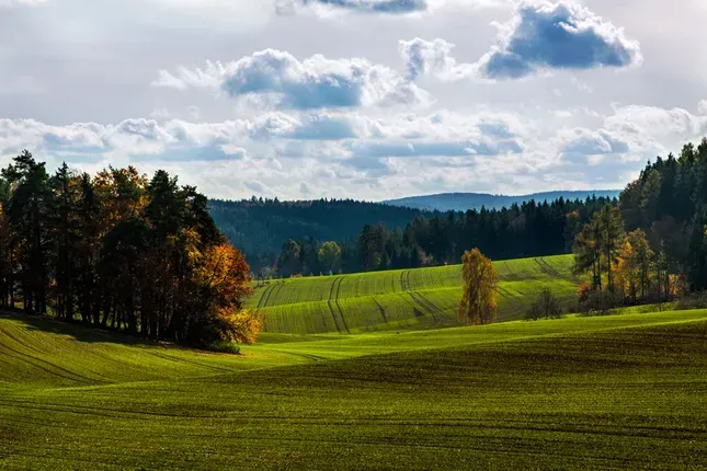 Beša – 4.571 m2 POĽNOHOSPODÁRKA PÔDA a LESY