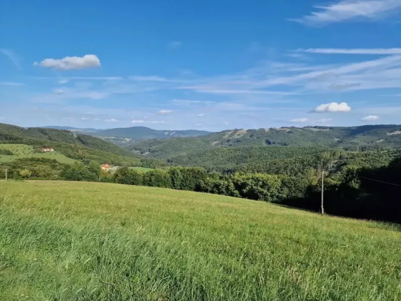 Petrova Lehota – 3.272 m2 ORNÁ PÔDA – PREDAJ