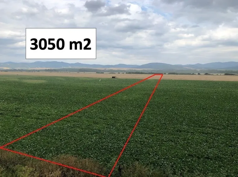 Piešťany – 3.050 m2 ORNÁ PÔDA v podiele 1/1 – Predaj