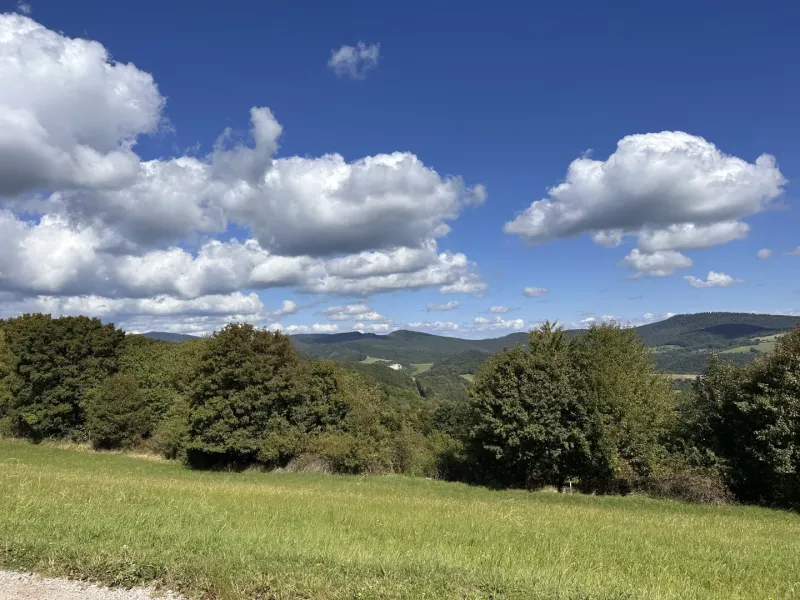 Hankovce – 2.359 m2 LESNÉ a INVESTIČNÉ pozemky – Predaj
