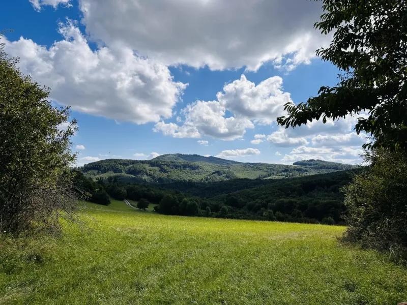 Zbudská Belá, Radvaň nad Laborcom 20.004 m2 LESY a PÔDA