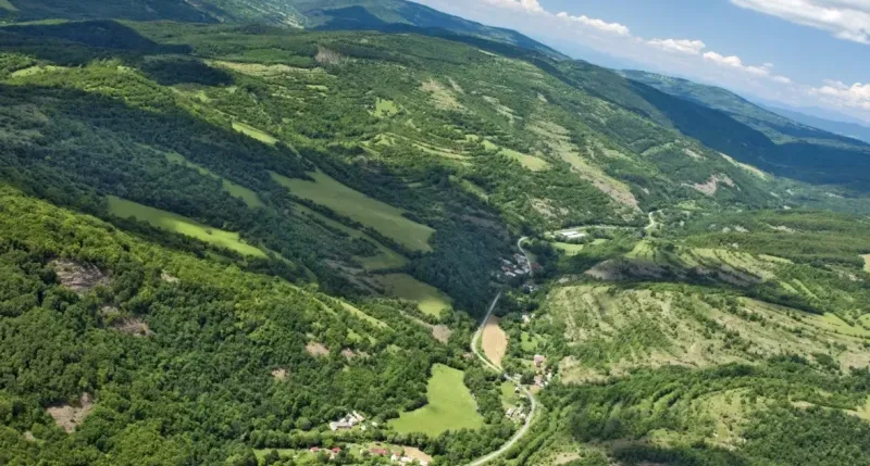 Madačka – 57.574 m2 LESY v podiele 1/1- PREDAJ