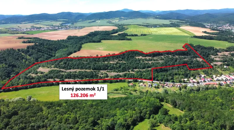 Domaníky – 126.200 m2 LESNÝ REKREAČNÝ POZEMOK v podiele 1/1