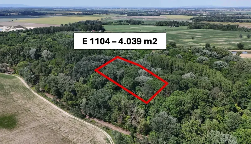 Orechová Potôň 2.918 m2 Lesný a Poľnohospodársky pozemok