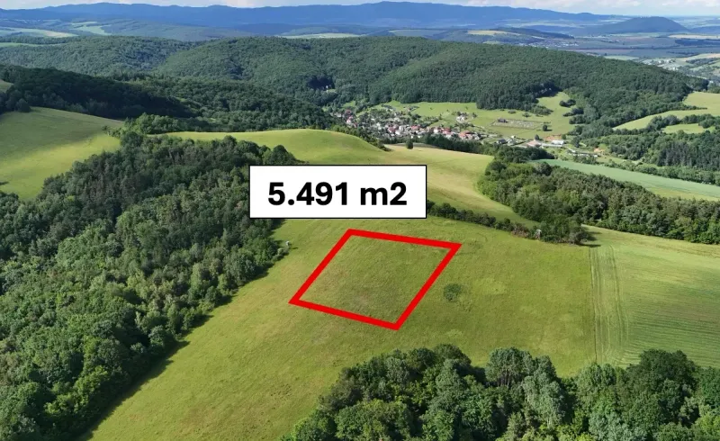 Brežany – 5.491 m2 POĽNOHOSPODÁRSKY pozemok v 1/1