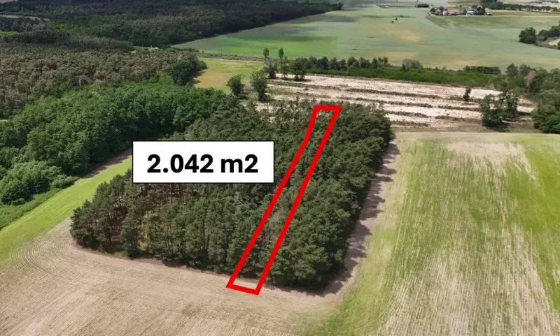 Lozorno – 2.042 m2 LES v podiele 1/1 – PREDAJ