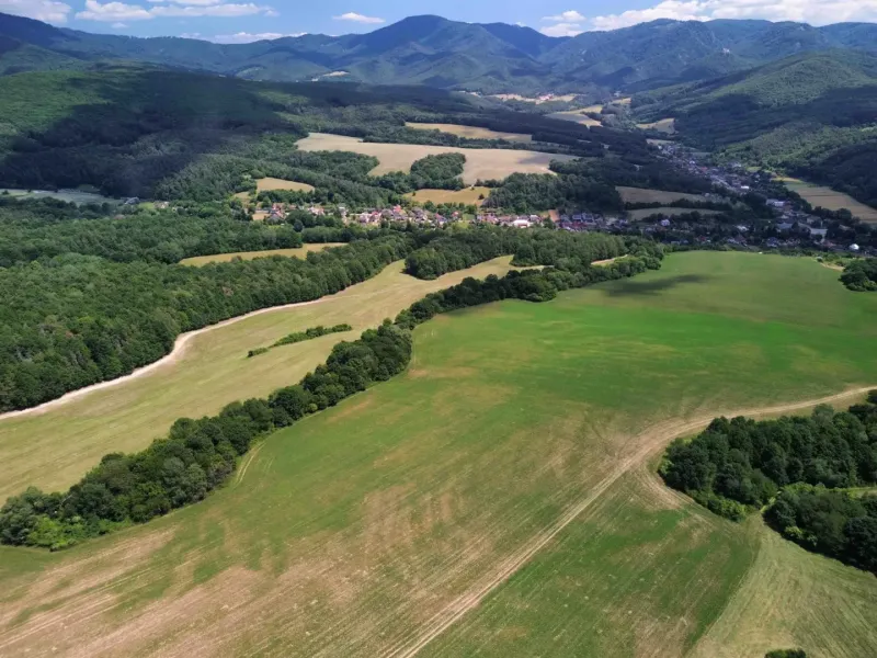 Žitná – 5.988 m2 LESNÉ a POĽNOHOSPODÁRSKE pozemky