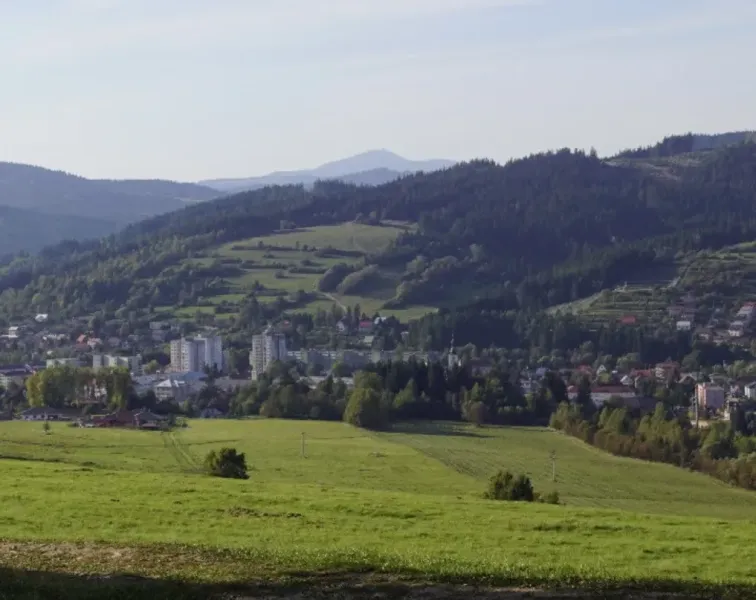 Turkov - 4.799 m2 Lesné pozemky - Predaj
