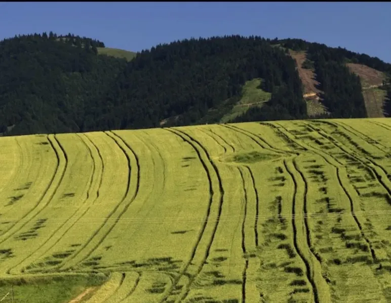 Šuja – 395 m2 POĽNOHOSPODÁRSKE pozemky – Predaj
