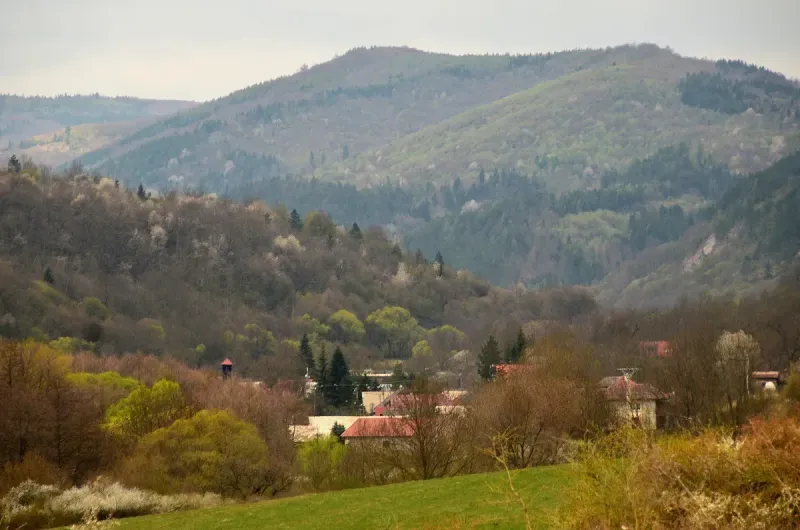 Horný Tisovník - Lesné pozemky v 1/1