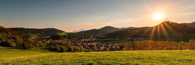 Vyšné Ružbachy – 5.307 m2 ORNÁ pôda a LESY v podiele 1/1