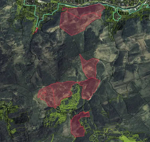 Nová Bystrica - Spoluvlastnícke podiely na lesoch a lúkach