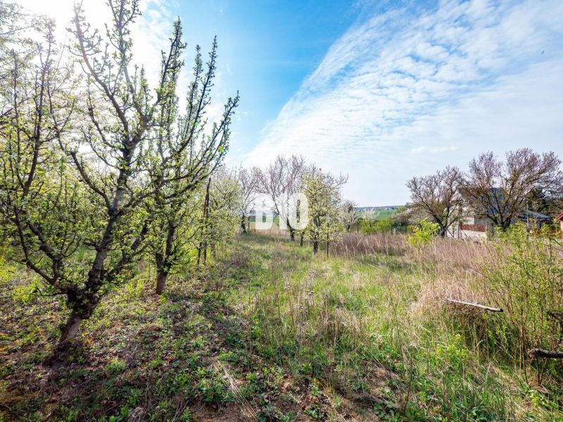 Záhrada/podnikanie?  2.000 m2 pozemok - 3 min. od mesta Nitra - Pozemky - bývanie v Nitre s rozkvitnutými stromami pod jarnou oblohou.