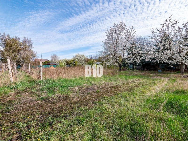 Záhrada/podnikanie?  2.000 m2 pozemok - 3 min. od mesta Nitra - Pozemky - bývanie v Nitre s rozkvitnutými stromami a plotom v prírodnom prostredí.