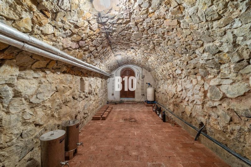 4i rodinný dom Lehota | 230 m² | Bazén | 85 m² garáž | 5 min. od Nitry - Kamenná pivnica rodinného domu s oblúkovým stropom a tehlovou podlahou.