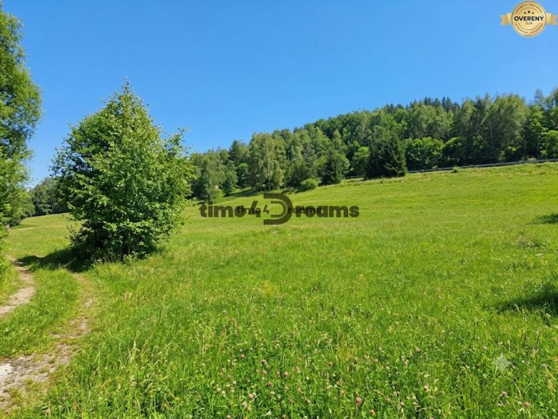 NA PREDAJ pozemky na stavbu domov HRIŇOVÁ - Zelená lúka obklopená stromami v Hriňovej, ideálna na pozemky - bývanie.