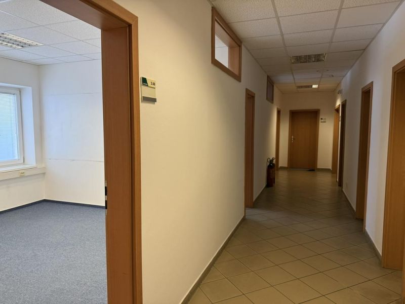 Kancelárske, obchodné a skladové priestory od 14m2 do 500m2 v areáli. - Chodba v skladoch a halách s dverami, oknom a dlaždicovou podlahou.