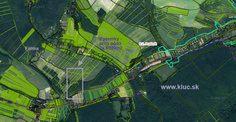 Orná pôda 2 x 6.000m2 v obci Prašník. okr. Piešťany