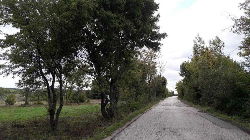 Pozemok v rekreačnej oblasti. Kučišdorfská dolina - Vidíme cesty obklopené stromami na ulici Kučišdorfská dolina a Rekreačné pozemky.