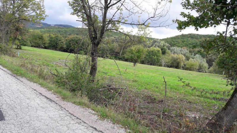 Pozemok v rekreačnej oblasti. Kučišdorfská dolina - Fotografia zachytáva cestu na ulici Kučišdorfská dolina obklopenú rekreačnými pozemkami a zeleňou.
