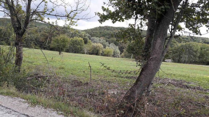 Pozemok v rekreačnej oblasti. Kučišdorfská dolina - Na obrázku sú zelené Rekreačné pozemky a stromy na ulici Kučišdorfská dolina.