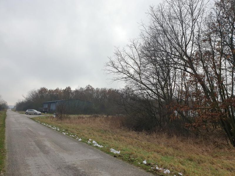 Hľadáte pôdu, les alebo lúku v okrese Pezinok? Budmerice - Vidiecka cesta obklopená lesnými pozemkami a poľnohospodárske oblasti s autom a budovou.